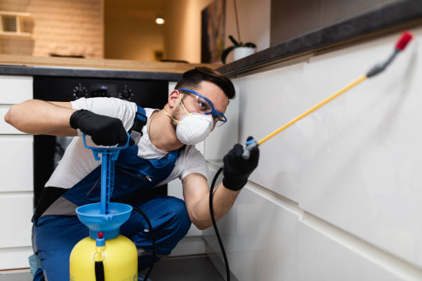 Best Wasp Removal Services  in Aust, IN