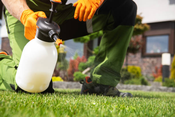 Flea Control Services in Austin, IN