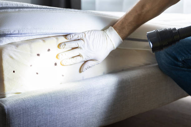 Pest Control Cost in Austin, IN