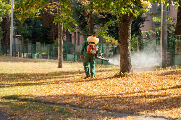 Best Affordable Pest Control Services  in Aust, IN